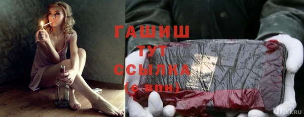 шишки Беломорск