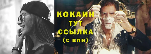 стаф Богородицк