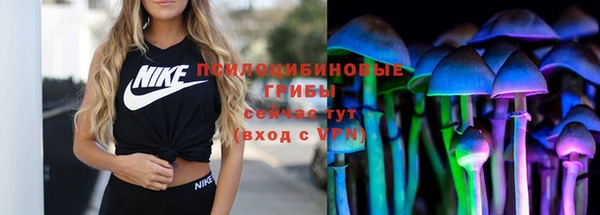 прущие грибы Богородск