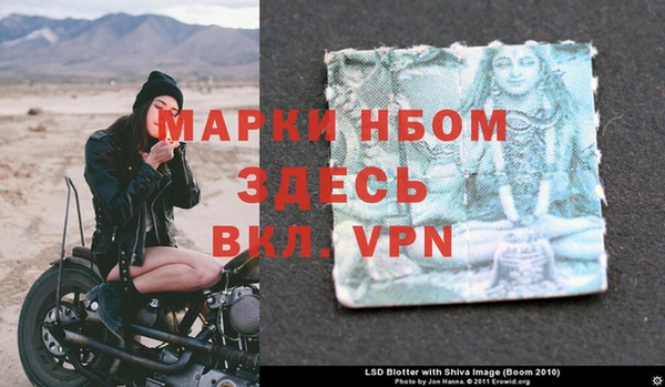 прущие грибы Богородск