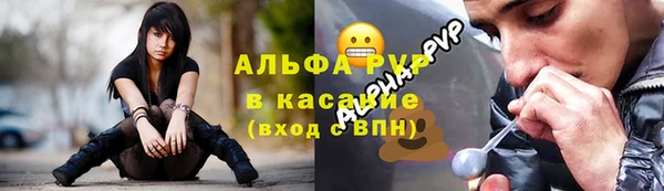стаф Богородицк