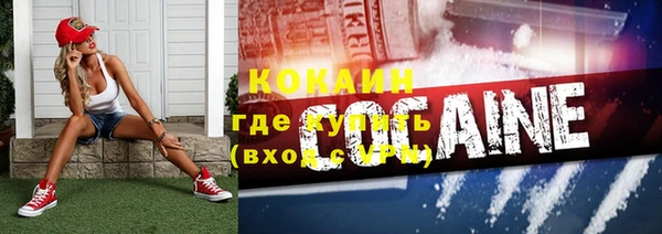 прущие грибы Богородск